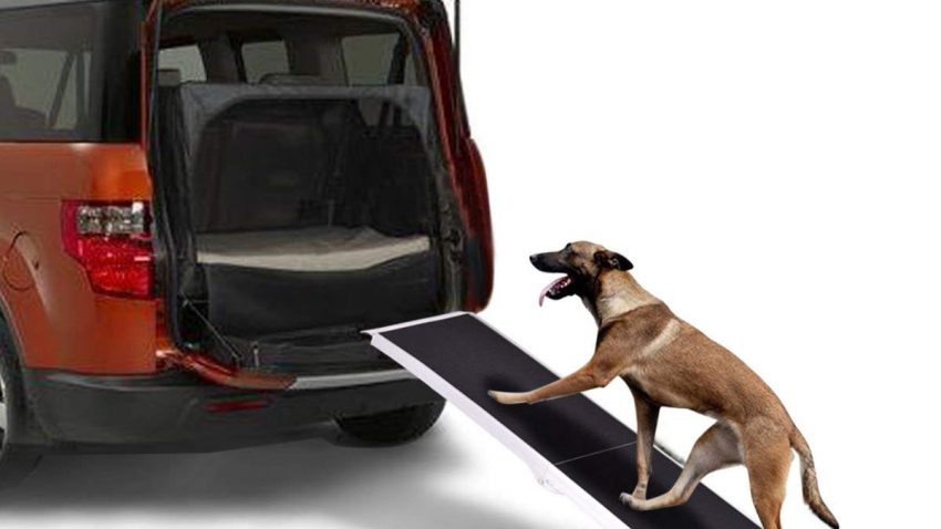 Goplus Dog Ramps for Car 