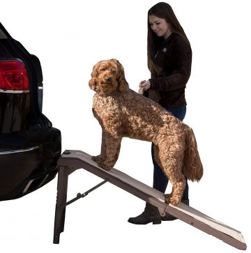 Pet Gear Dog Ramps for Car 