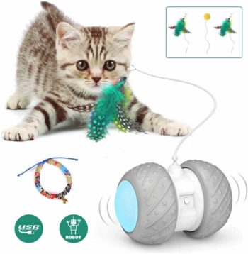 Cat Feather Toys