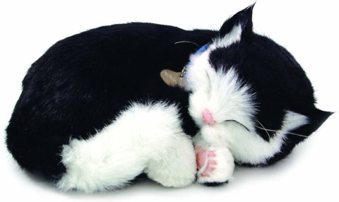 Kitten Plush