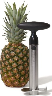 OXO Pineapple Slicers