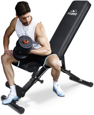 FLYBIRD Adjustable Weight Benches