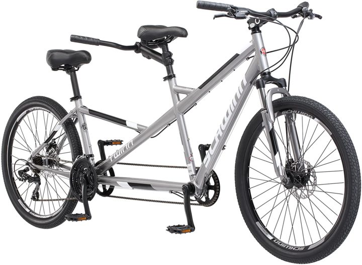 Schwinn Twinn